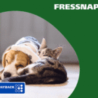 Fressnapf erste Austattung Katzen