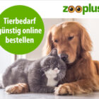 Zooplus 12 % Neukunden Rabatt